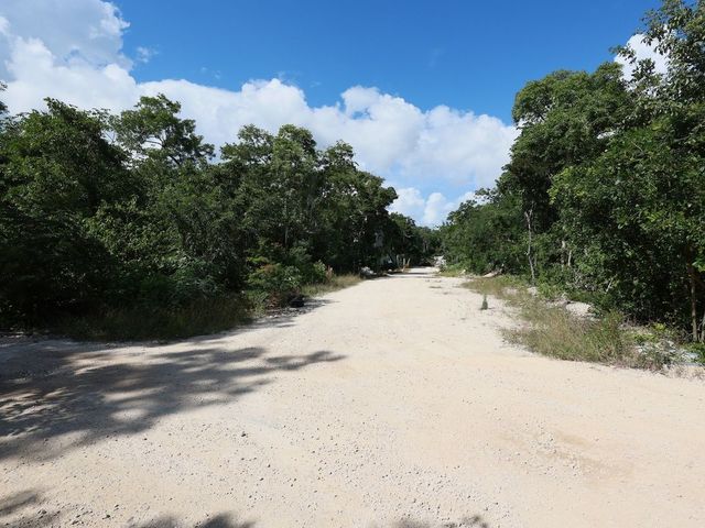 place photo 23