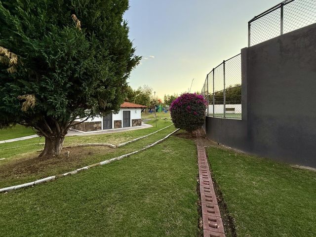 place photo 48