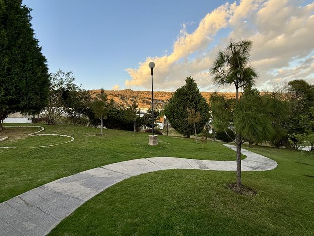 place photo 41