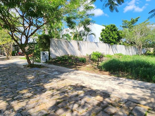 place photo 10
