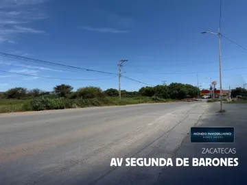 San Miguel GUADALUPE, Guadalupe Zacatecas, Zacatecas