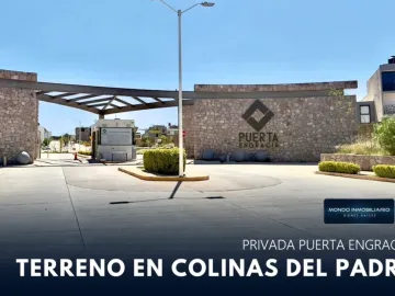 Sierra Alica ZACATECAS - Seguridad