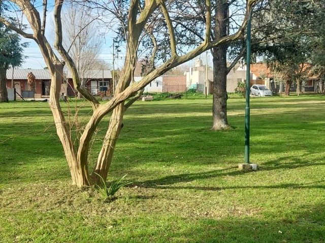 place photo 11