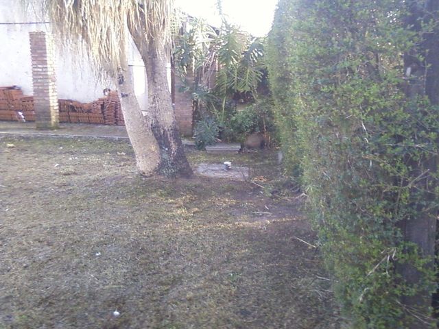 place photo 31