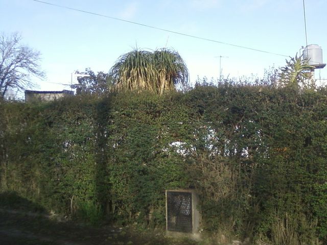 place photo 28