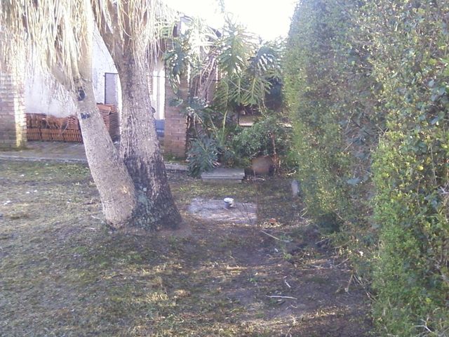 place photo 39