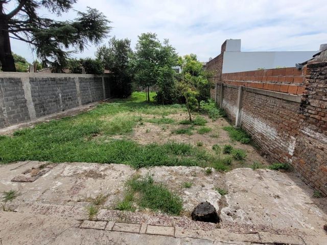 place photo 9