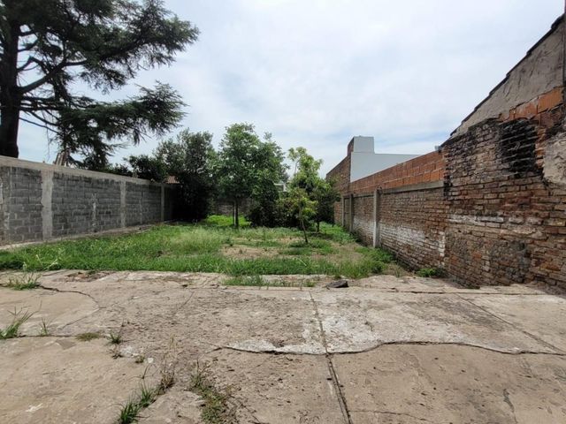 place photo 10
