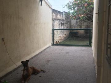 place photo 11
