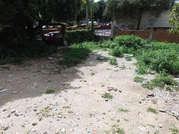 place photo 6