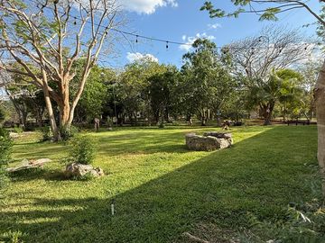 place photo 38