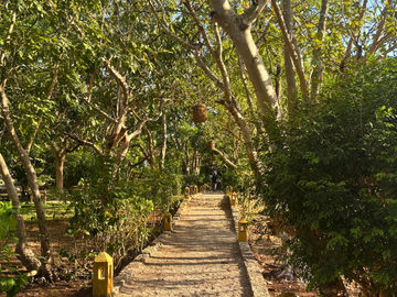 place photo 21