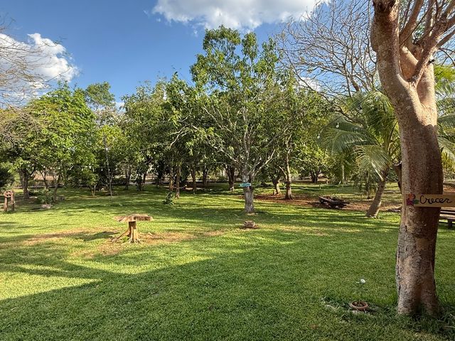place photo 39