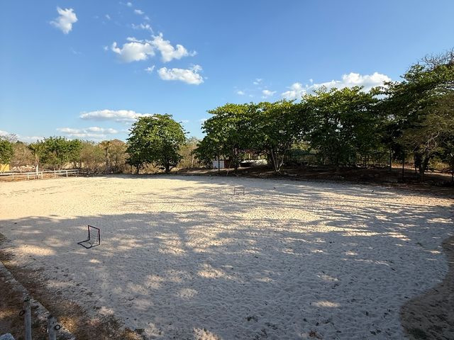 place photo 37