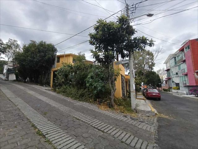 place photo 18