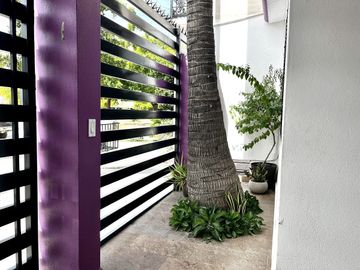 place photo 40
