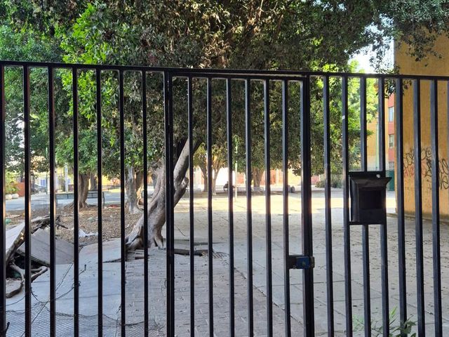 place photo 15