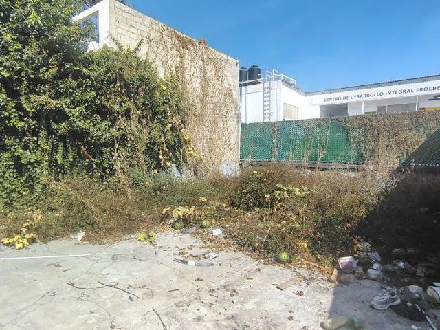 place photo 4