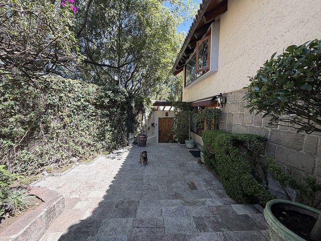 place photo 44