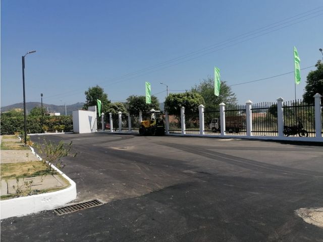 place photo 38