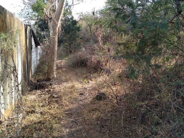 place photo 12