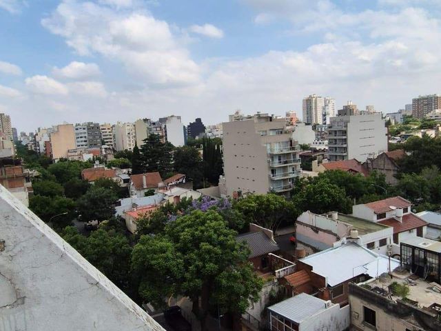 place photo 14