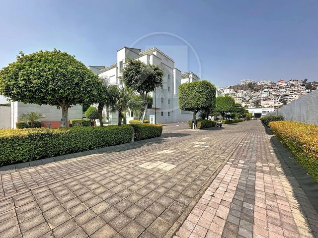 place photo 42