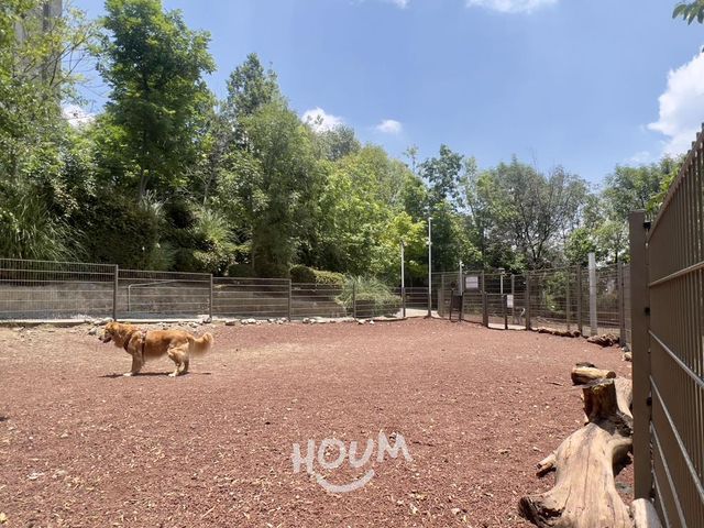 place photo 37