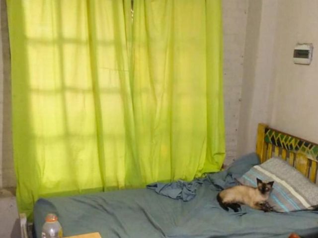 place photo 16