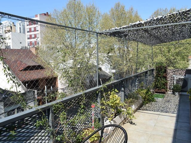 place photo 23