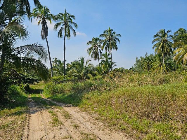 place photo 16