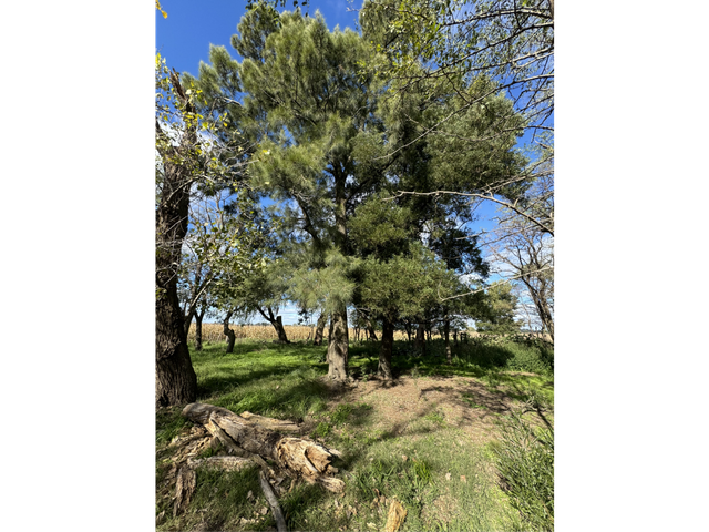 place photo 18