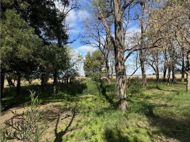 place photo 24