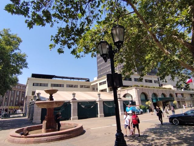 place photo 14