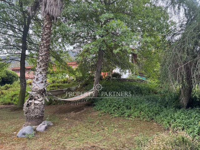 place photo 50