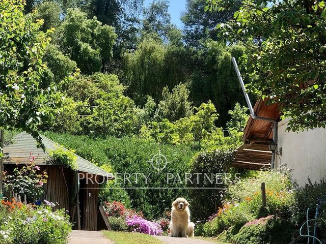 place photo 46