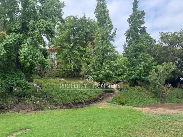 place photo 49