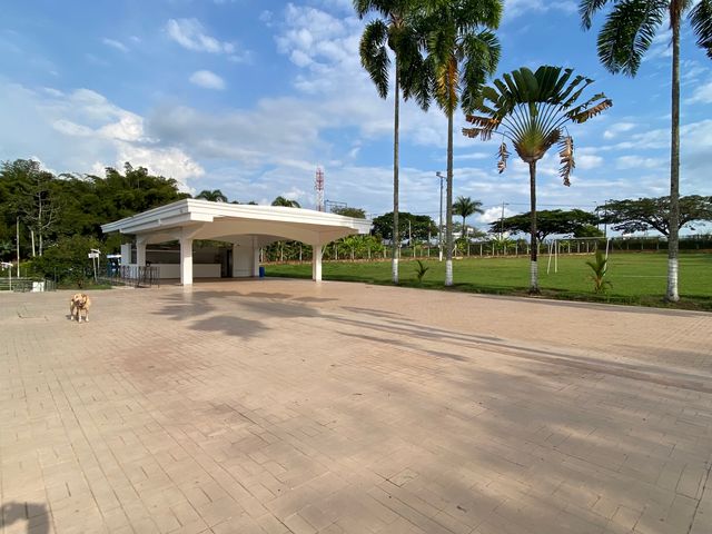 place photo 28
