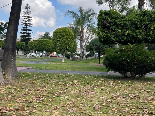 place photo 30