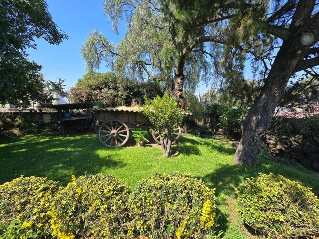 place photo 46