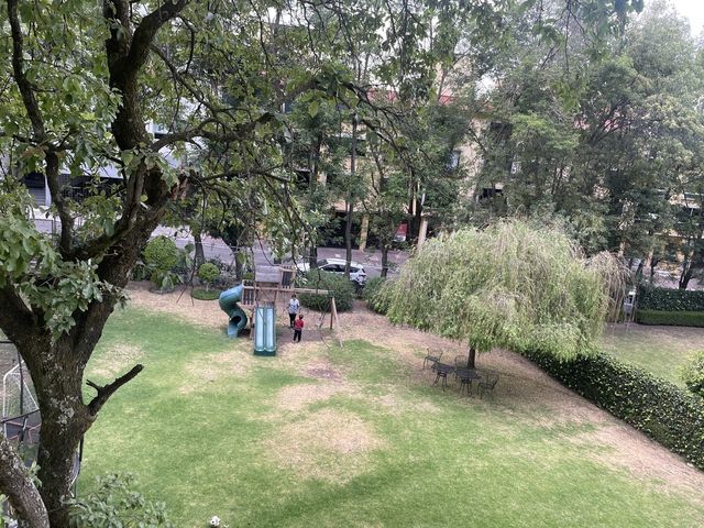place photo 32