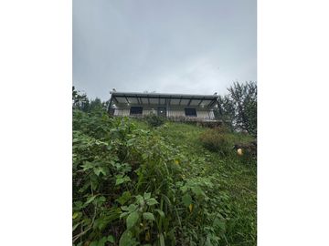 place photo 63