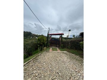 place photo 50