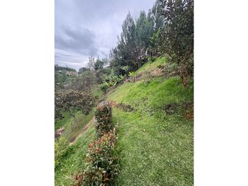 place photo 74