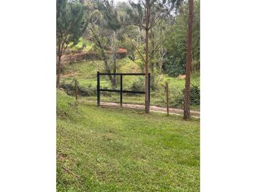 place photo 54
