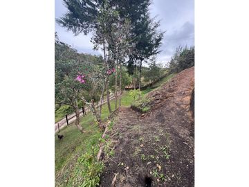 place photo 62