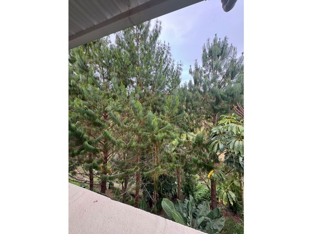 place photo 49