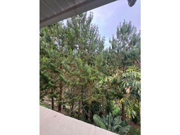 place photo 49