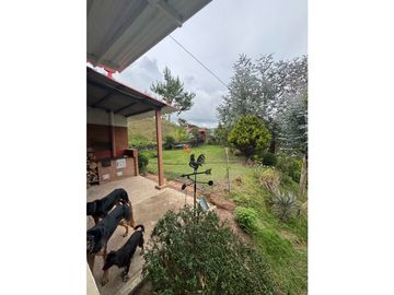 place photo 57