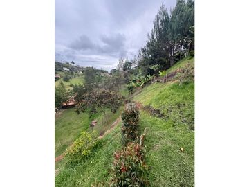 place photo 76